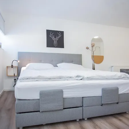 Naturliebe-aktivurlaub Und Auszeit Mit Hund Direkt An Wanderwegen Im Gruenen Winterberg