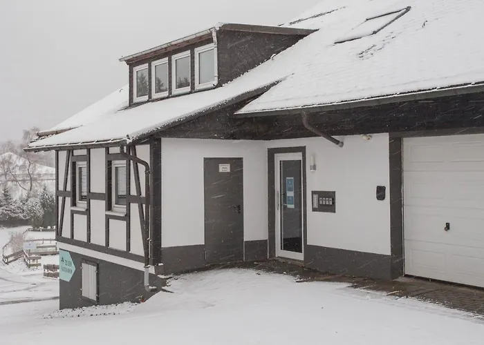 Appartamento Naturliebe-aktivurlaub Und Auszeit Mit Hund Direkt An Wanderwegen Im Gruenen Winterberg