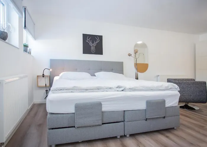 Naturliebe-aktivurlaub Und Auszeit Mit Hund Direkt An Wanderwegen Im Gruenen Winterberg